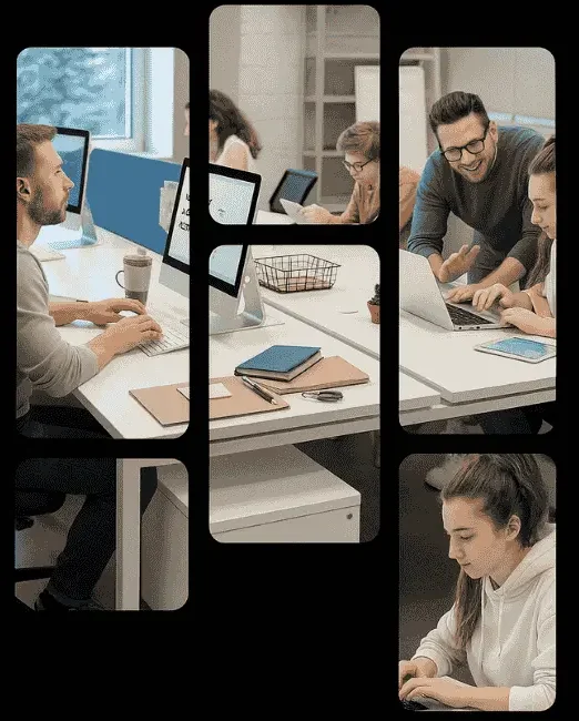 Web Application Development Agency India