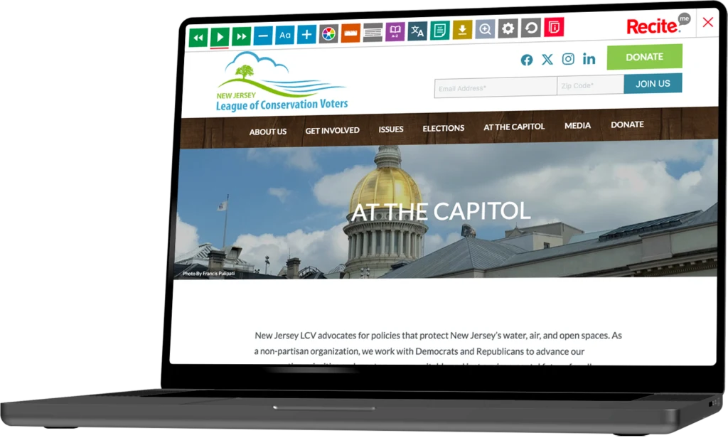 Government Web Application Development